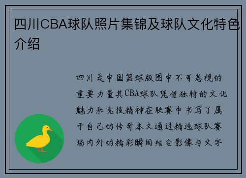 四川CBA球队照片集锦及球队文化特色介绍